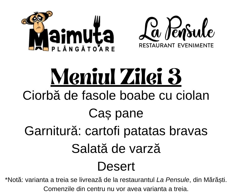 Meniul Zilei 3